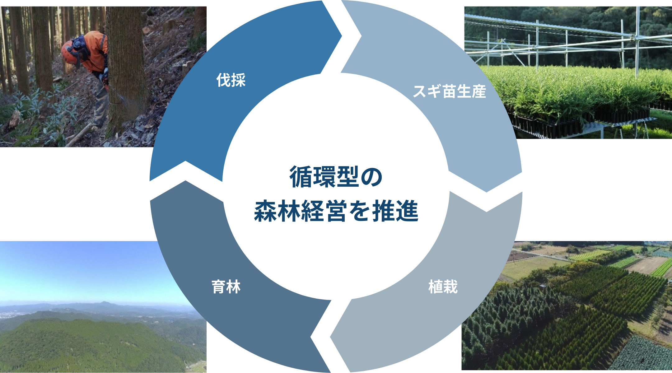 長期的なスパンで郷土の森林・環境を守る一役を担う企業を目指して